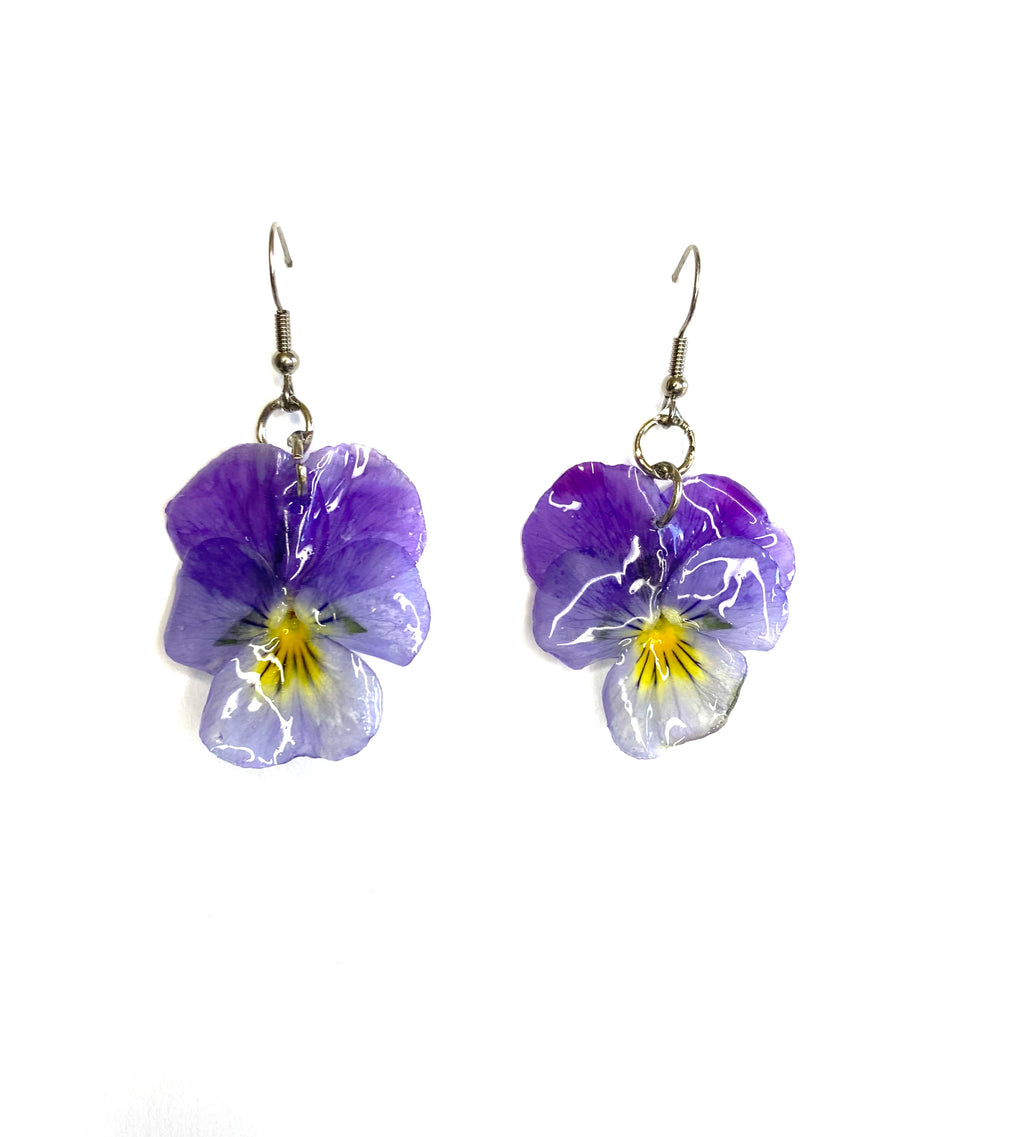 Cercei din panselute (Viola × wittrockiana)