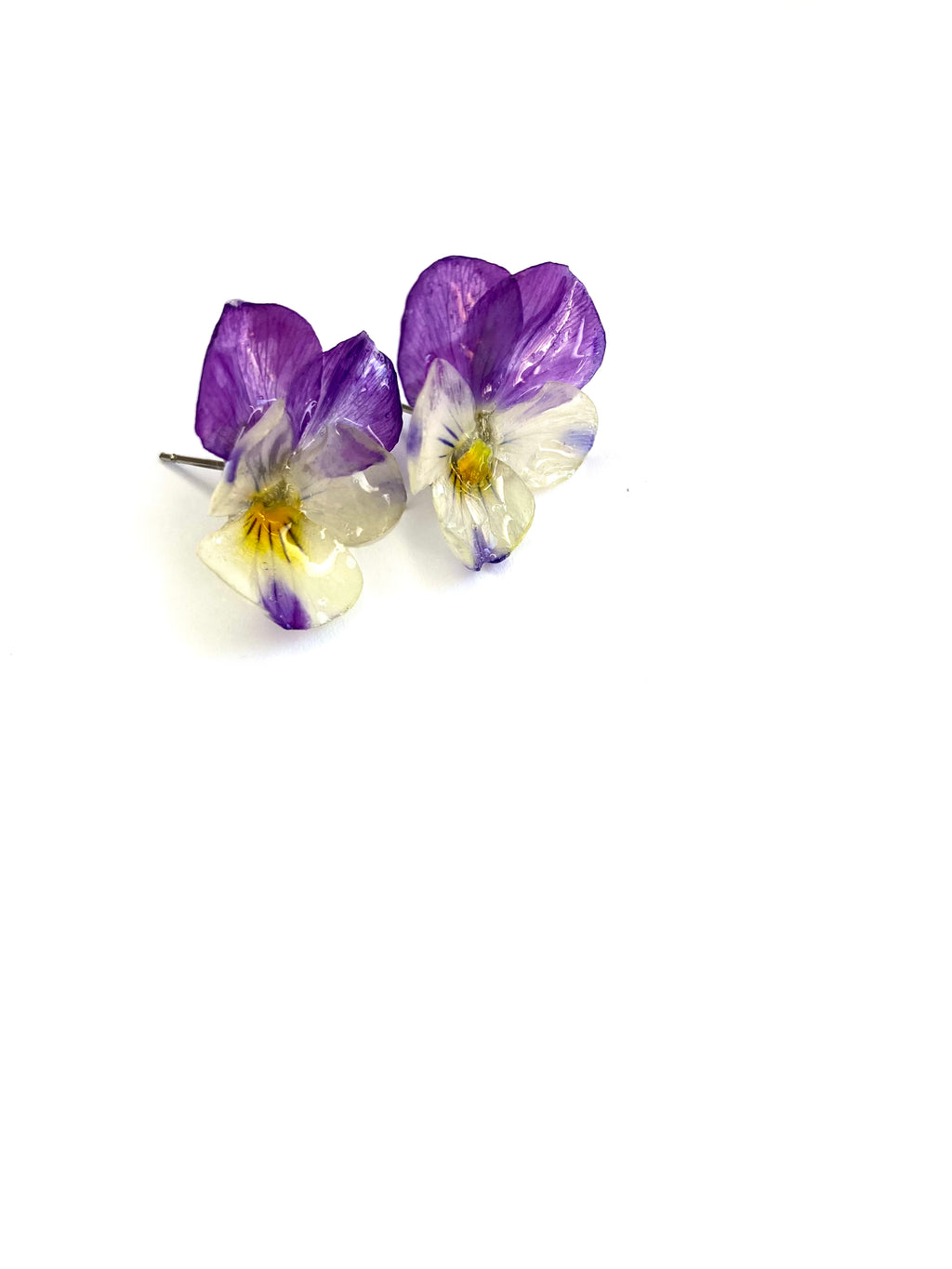 Cercei din panselute (Viola × wittrockiana)