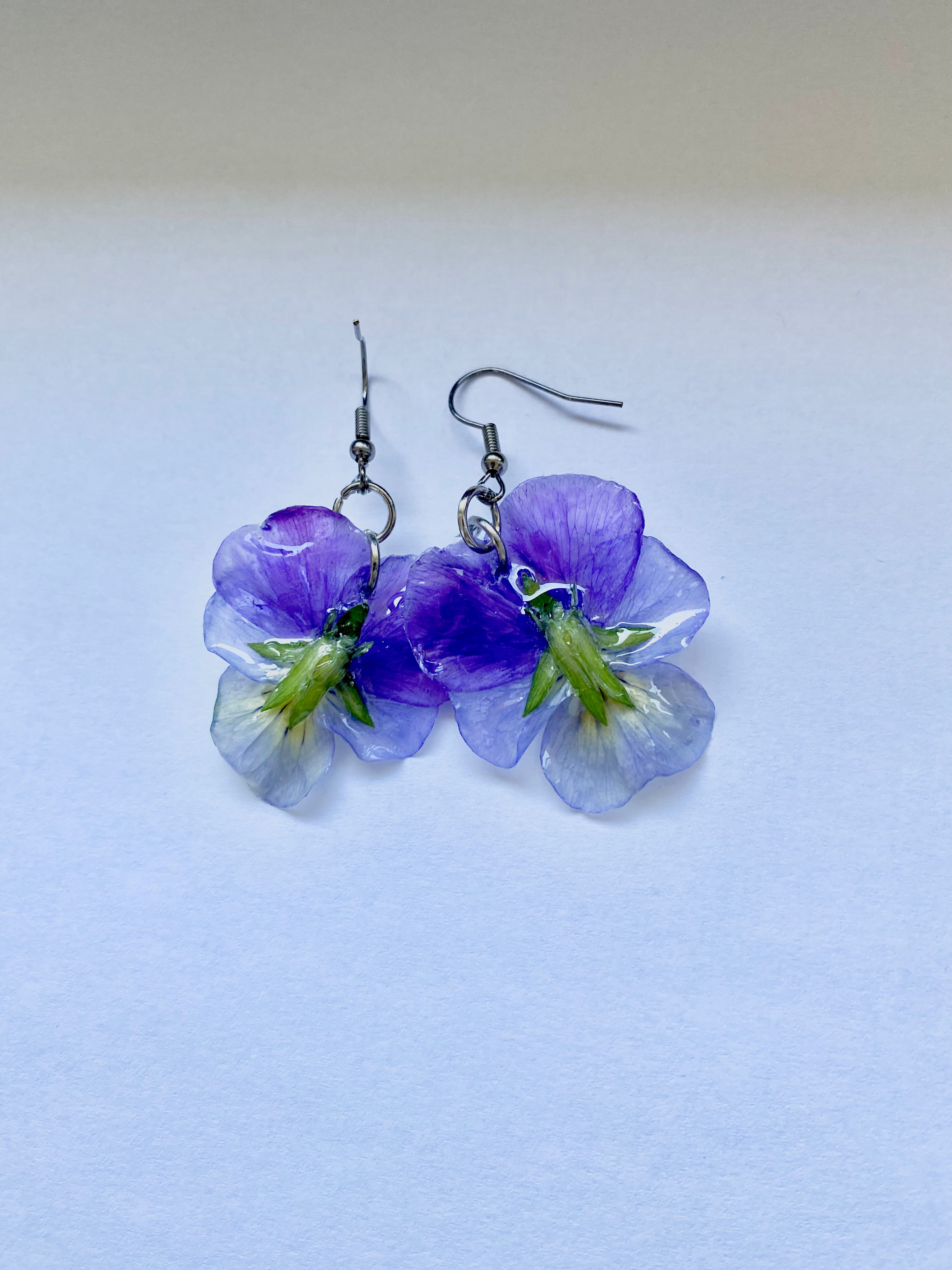 Cercei din panselute (Viola × wittrockiana)