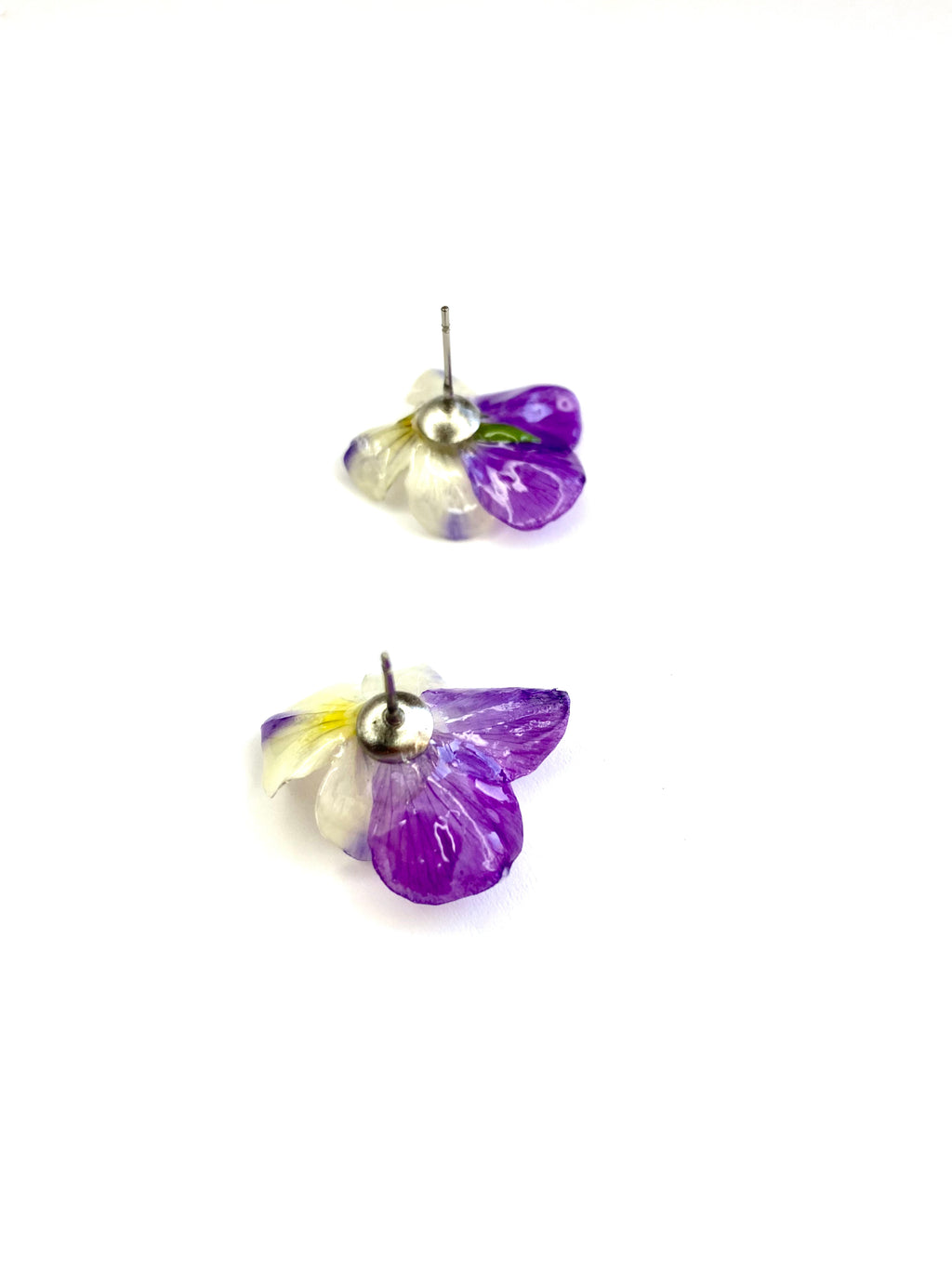 Cercei din panselute (Viola × wittrockiana)