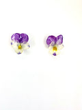 Cercei din panselute (Viola × wittrockiana)